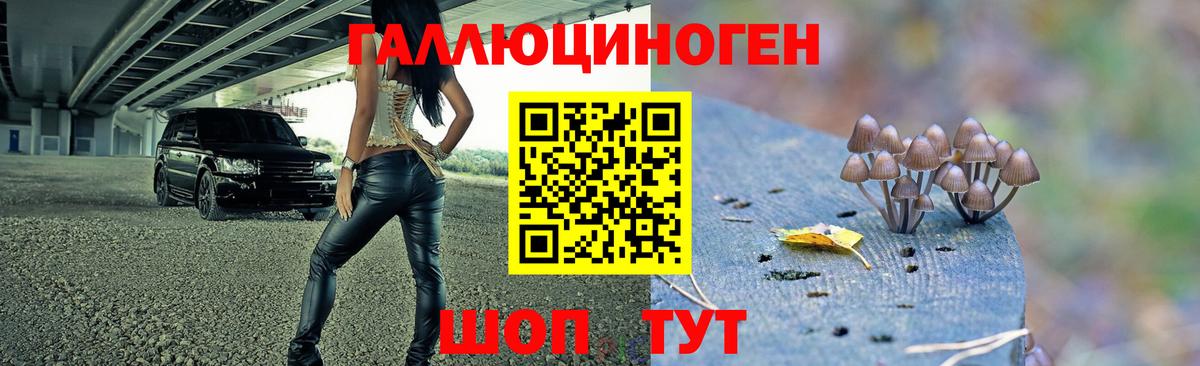 Галлюциногенные грибы мицелий Улан-Удэ