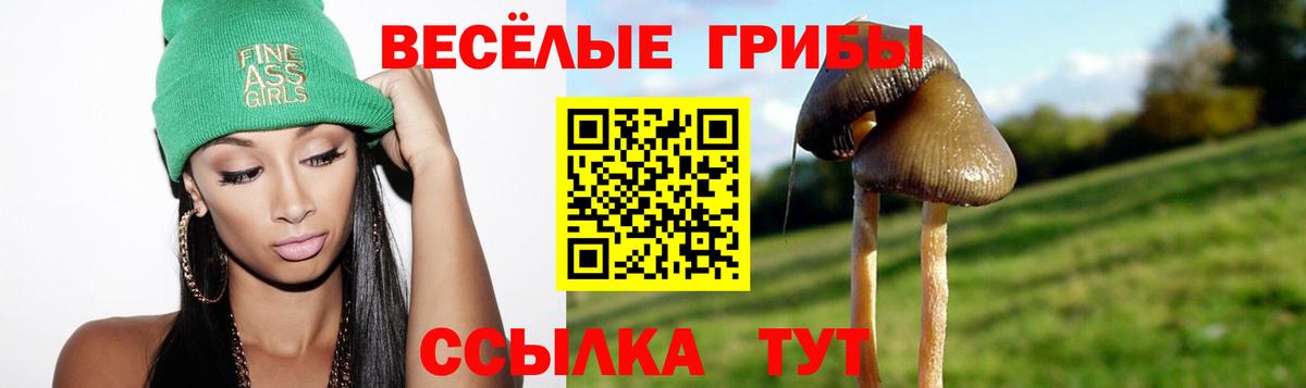 Псилоцибиновые грибы прущие грибы  Галлюциногенные грибы Psilocybine cubensis  наркота  Улан-Удэ  Вход с VPN 